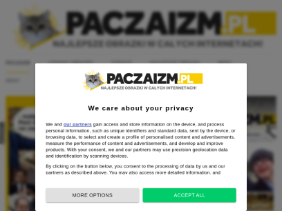 paczaizm.pl.png