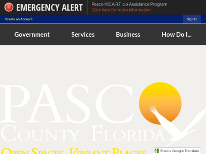 pascocountyfl.net.png