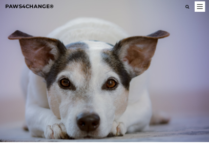 paws4change.com.png