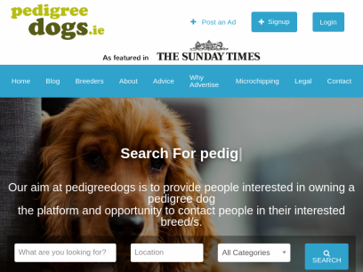 pedigreedogs.ie.png
