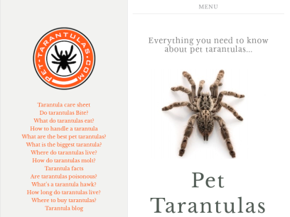 pet-tarantulas.com.png