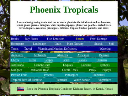 phoenixtropicals.com.png