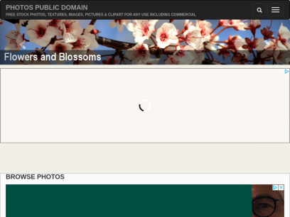 photos-public-domain.com.png