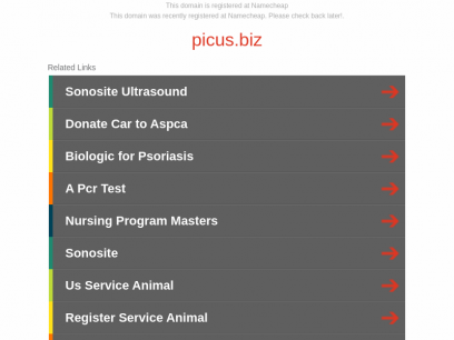 
	picus.biz - Registered at Namecheap.com

