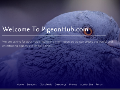 pigeonhub.com.png