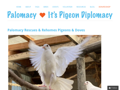 pigeonrescue.org.png