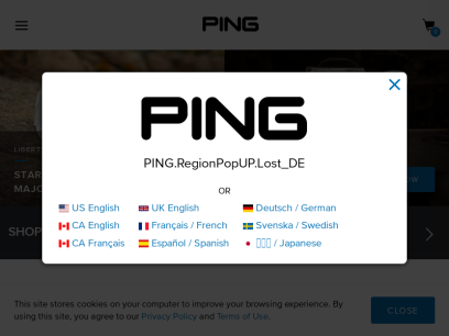 ping-shop.com.png