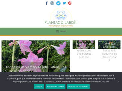 plantasyjardin.com.png