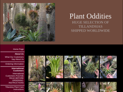 plantoddities.com.png