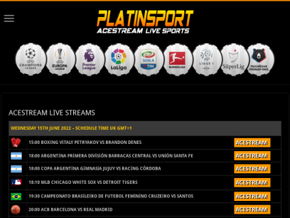 platinsport.com.png