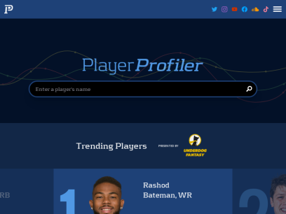 playerprofiler.com.png