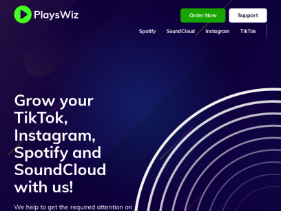 playswiz.com.png