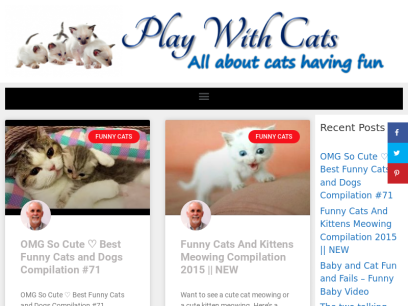 playwithcats.com.png