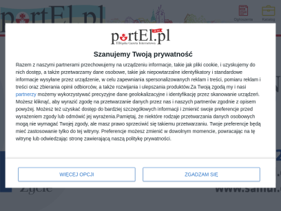 portel.pl.png