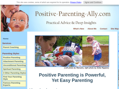 positive-parenting-ally.com.png