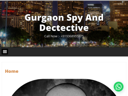 privatedetectiveagencyingurgaon.in.png