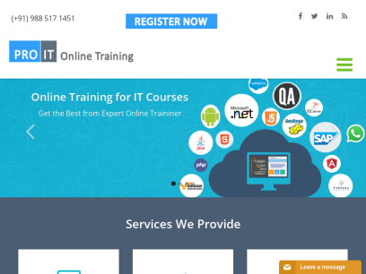 proitonlinetraining.com.png