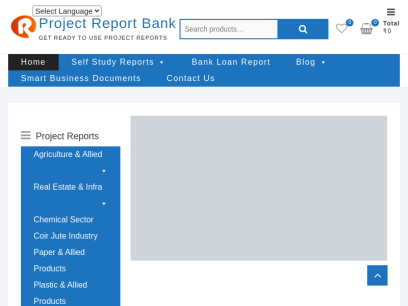 projectreportbank.com.png