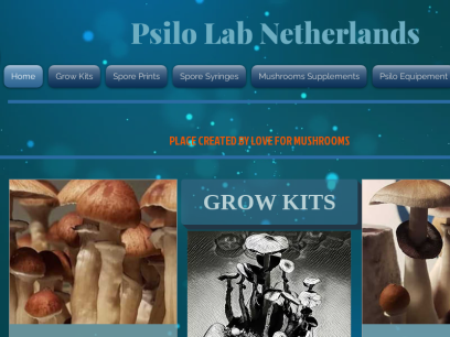 psilolab.nl.png