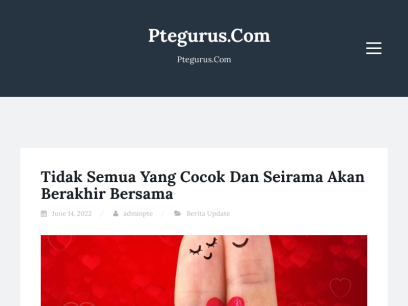 ptegurus.com.png