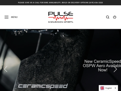 pulseendurance.com.png