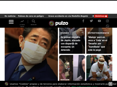 pulzo.com.png