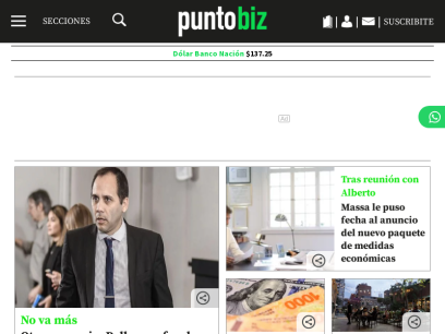 puntobiz.com.ar.png