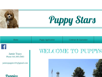 puppystars.com.png