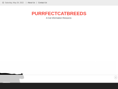 purrfectcatbreeds.com.png