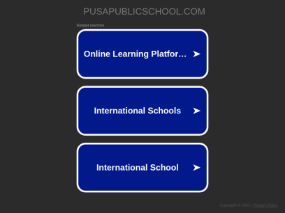 pusapublicschool.com.png