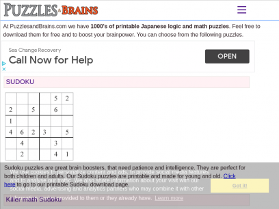 Thousands of printable logic puzzles, IQ puzzles and math puzzles based on Japanese puzzles, for kids and adults