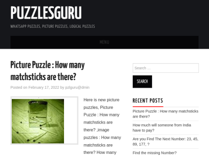 puzzlesguru.com.png
