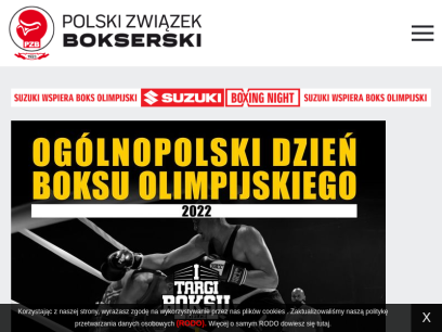 pzb.com.pl.png