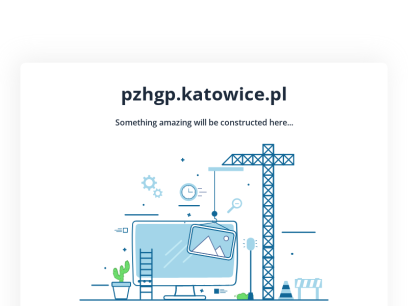 pzhgp.katowice.pl.png