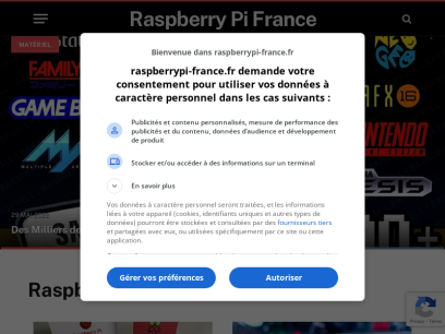raspberrypi-france.fr.png