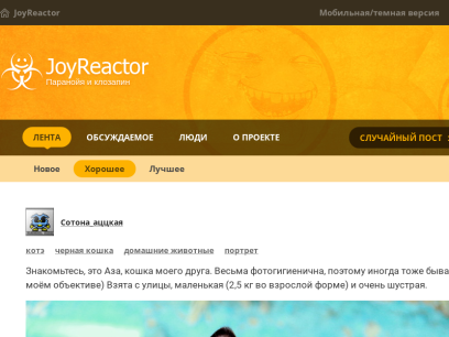 reactor.cc.png