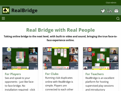 realbridge.online.png