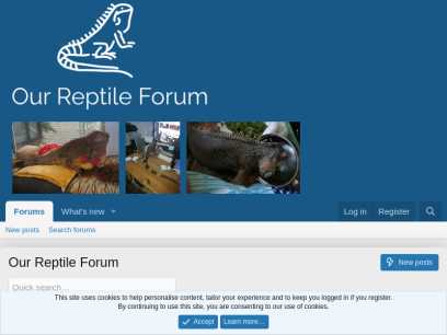 reptile-parrots.com.png