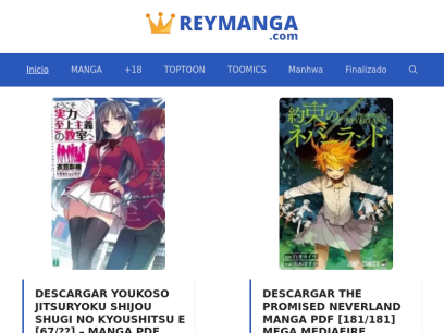 reymanga.com.png