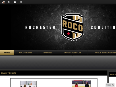 rochestergrizzlies.com.png