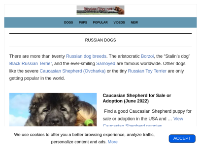 russiandog.net.png