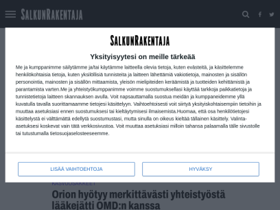 salkunrakentaja.fi.png