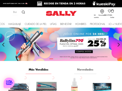 sallymexico.com.png