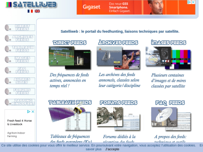 satelliweb.com.png