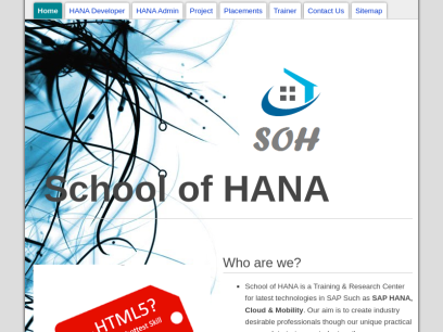 schoolofhana.com.png