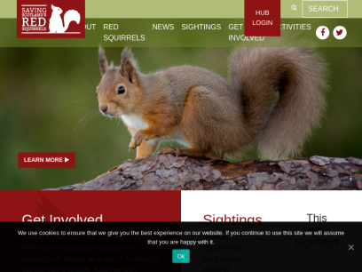 scottishsquirrels.org.uk.png