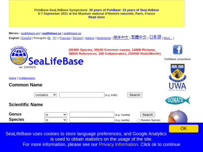 sealifebase.org.png