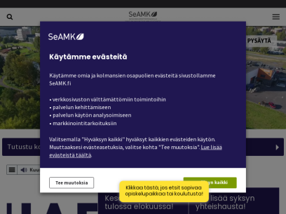 seamk.fi.png