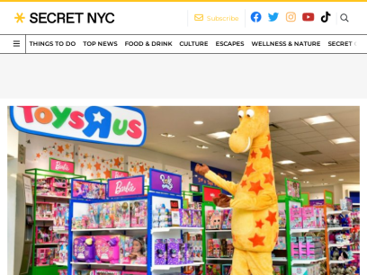 secretnyc.co.png