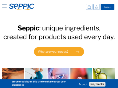 seppic.com.png